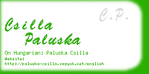 csilla paluska business card